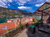 Kotor
